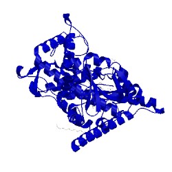 Image of CATH 2nnj