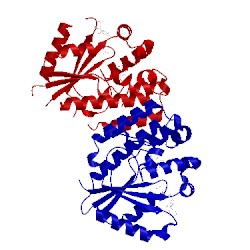 Image of CATH 2no7