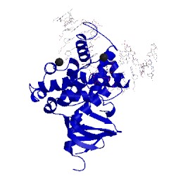 Image of CATH 2noh