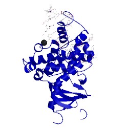 Image of CATH 2noi