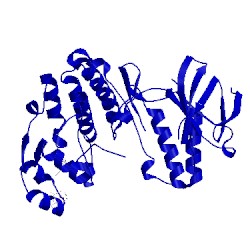 Image of CATH 2npq