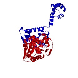 Image of CATH 2nrx