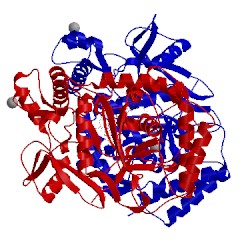 Image of CATH 2nse