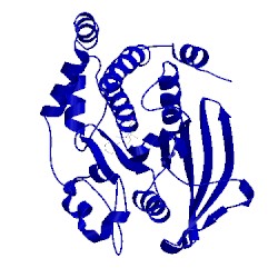 Image of CATH 2nta