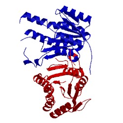 Image of CATH 2ntn