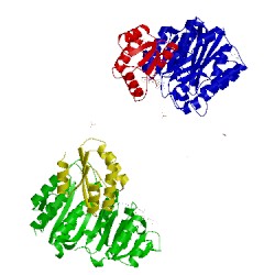 Image of CATH 2nu8