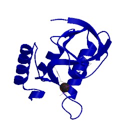 Image of CATH 2nuc