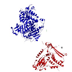 Image of CATH 2nup