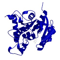 Image of CATH 2nv6