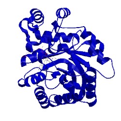 Image of CATH 2nvc