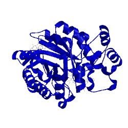 Image of CATH 2nvd