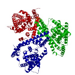 Image of CATH 2nwl