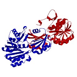 Image of CATH 2nxe