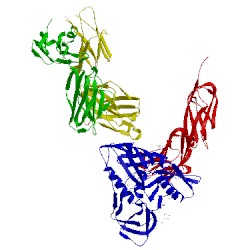 Image of CATH 2ny6