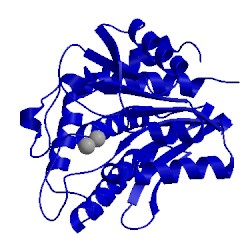 Image of CATH 2nyq