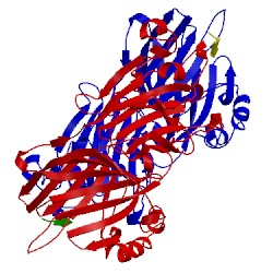 Image of CATH 2nyz