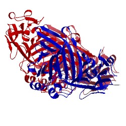 Image of CATH 2nz1