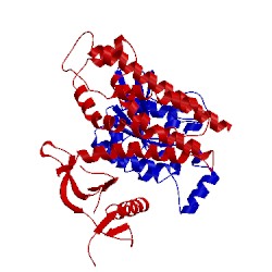 Image of CATH 2nz8