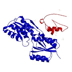 Image of CATH 2nzv