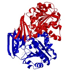 Image of CATH 2o05