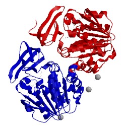 Image of CATH 2o06