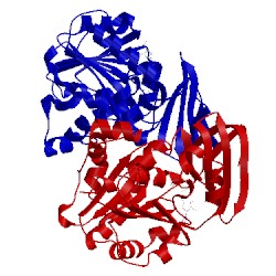 Image of CATH 2o07