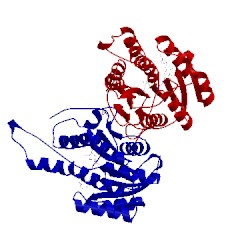 Image of CATH 2o23