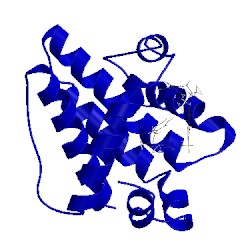 Image of CATH 2o2n