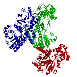Image of CATH 2o3j