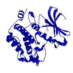 Image of CATH 2o3p