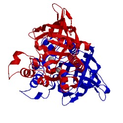 Image of CATH 2o4h