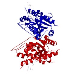 Image of CATH 2o4i