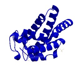 Image of CATH 2o5s