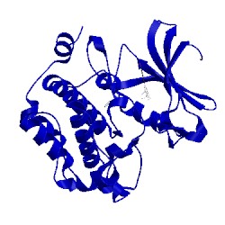 Image of CATH 2o64