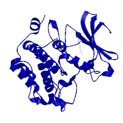 Image of CATH 2o65