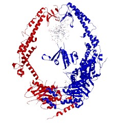 Image of CATH 2o8b