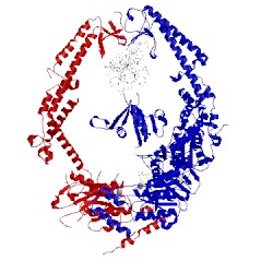 Image of CATH 2o8c