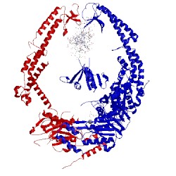 Image of CATH 2o8f