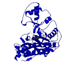 Image of CATH 2oaz