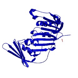 Image of CATH 2od8