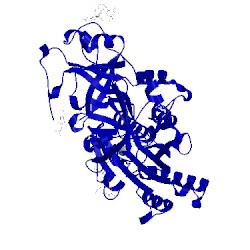 Image of CATH 2odp