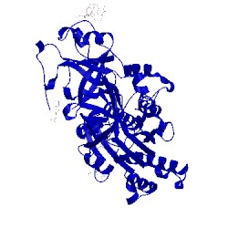 Image of CATH 2odq