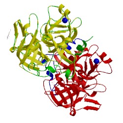 Image of CATH 2ody