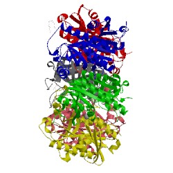 Image of CATH 2oec