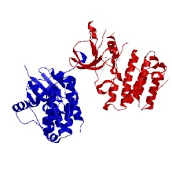 Image of CATH 2ofv