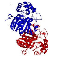 Image of CATH 2og1