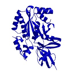 Image of CATH 2ohf