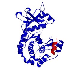 Image of CATH 2ojf