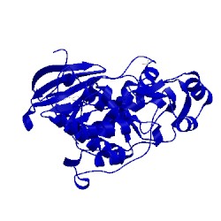 Image of CATH 2oji