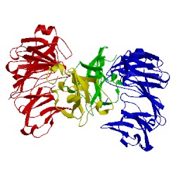 Image of CATH 2ok6